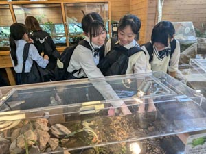 R7 1年生校内研修ロードマップイメージ