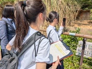 R7 1年生校内研修ロードマップイメージ